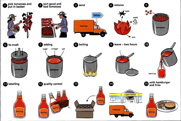 The pictures below show how tomato ketchup is made.Summarize the